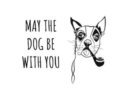 May the dog be with you - illustrated calendar